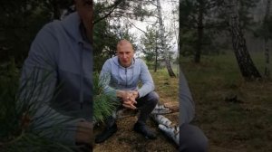 РСП, дочь РСП, история Аленя