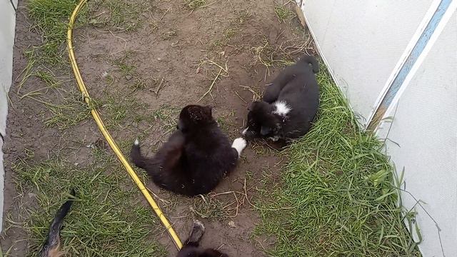 Спасаемся от Жары! 11.07.23.