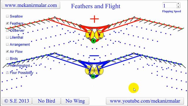 Feather Flight - How do birds fly? смотреть онлайн