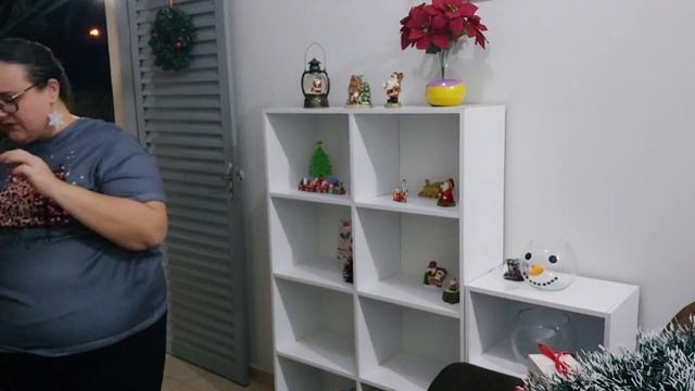 Árvore de Natal: Qual a Decoração Escolhida? Montamos Nossa Árvore de Natal- BGG смотреть онлайн