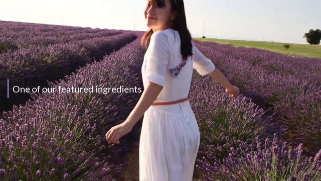 Lavender - One of our featured ingredients - Daniele Henkel смотреть онлайн