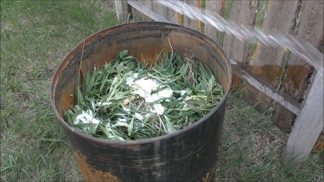 Травяной настой -  универсальное удобрение