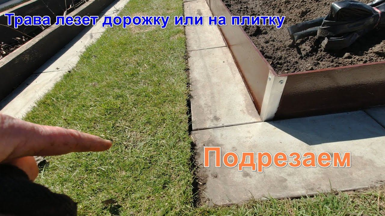 Подрезка травы на границе с плиткой смотреть онлайн