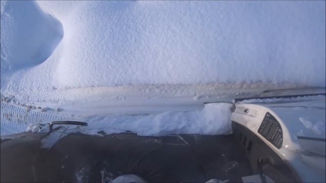 Русская гончая или Эстонская гончая?!Пятизарядка или Двухстволка.. смотреть онлайн