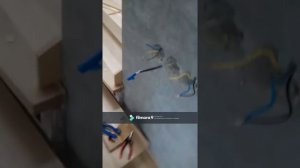 Подключение проходного сенсорного выключателя «Livolo»