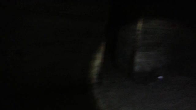 Exploring a world war 2 ammunition storage bunker смотреть онлайн