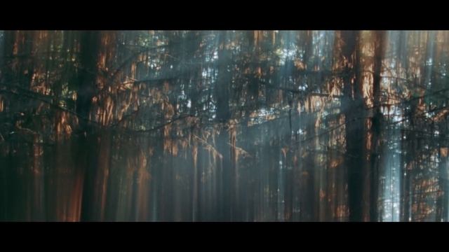 RANSOM - BUILT FOR SPEED смотреть онлайн