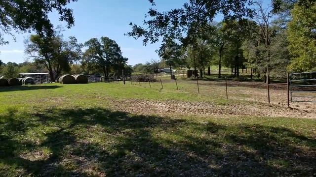 TGF - A Long Productive Day #tgf #treefailing #burning #hardwork смотреть онлайн