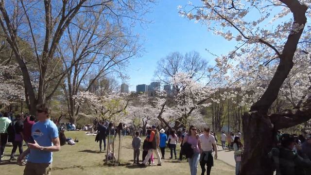 High Park | 4K Walk Toronto (May 2022) смотреть онлайн