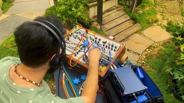 Synthesizer - Plant Wave смотреть онлайн