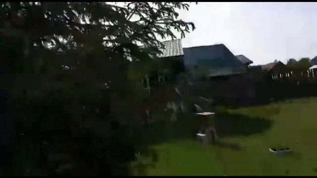 Пчёлы. Разведгруппа заняла ловушки и не пускает сторонних пчёл. смотреть онлайн