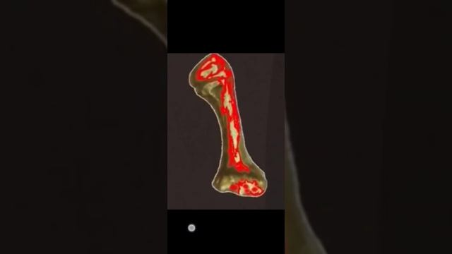 Муму 2 возмездие, но Яне верю а поэтому я решила проверить. Итог в видео