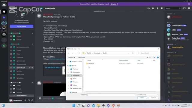 ⚡️ SkullX2.0 Roblox Injector! Free Level 7 lua Injector No Key System! ⚡️ смотреть онлайн