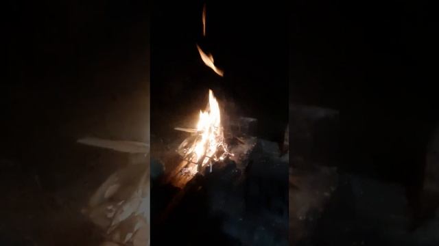 Лягушка денежный огонь #тревелблогер #москва #подольск #ритуал #лягушка #деньги #река #костер #руны смотреть онлайн