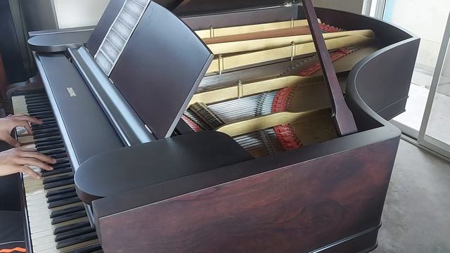 the way you look tonight Steinway baby grand 1900 смотреть онлайн