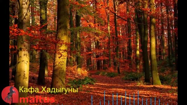 Кафа Хадыгуны [Amaltus] смотреть онлайн