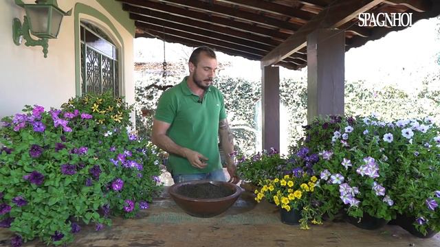 SEGREDOS PARA SUA PETÚNIA ENCHER DE FLORES NO SEU JARDIM смотреть онлайн
