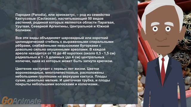 Кактус пародия смотреть онлайн