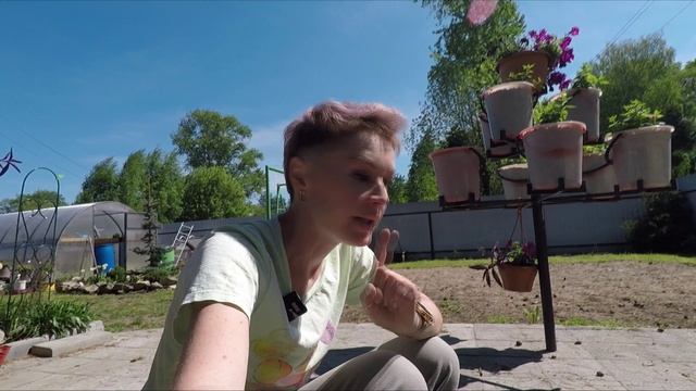 ДНЕВНИК РАССАДНИЦЫ.ПОСАДКА КЛУБНИКИ.ОБРАБОТКА АЛИССУМА.2022.mp4 смотреть онлайн