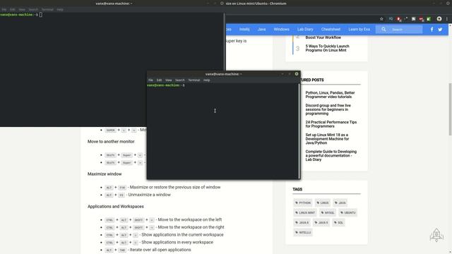 Split screen and maximize/minimize on Linux mint/Ubuntu смотреть онлайн