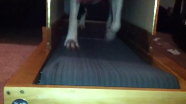 Chewie on the Grand Carpet Mill part 2 смотреть онлайн