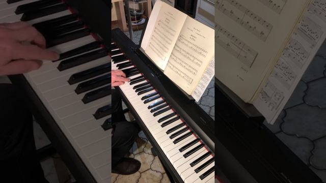 Bartók Mikrokosmos 33 mit Metronom 20200326 смотреть онлайн