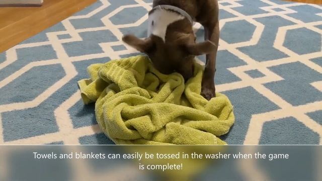 Boredom Busters: Snuffle Games for Dogs смотреть онлайн