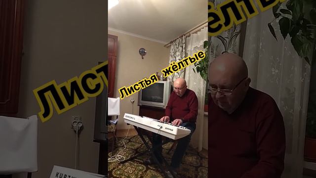 Листья жёлтые #music #челентано #jazz #ukraine #джаз #кропивницкий #леонтьев #музыка #тбилиси #кроп смотреть онлайн