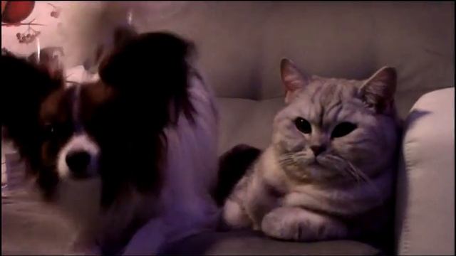 Наряжаем Ёлку/ своими руками/снегири/бантики смотреть онлайн