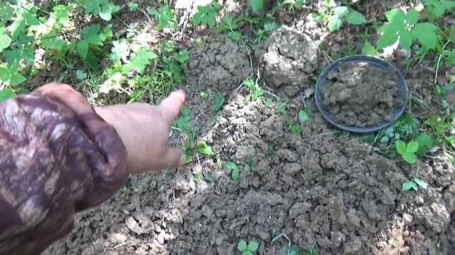 ПОИСК ЗОЛОТА НА РТУТНОМ РУЧЬЕ !!!