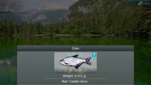 My Fishing World : Синец (Ежедневное задание, Холодное озеро) #myfishingworld