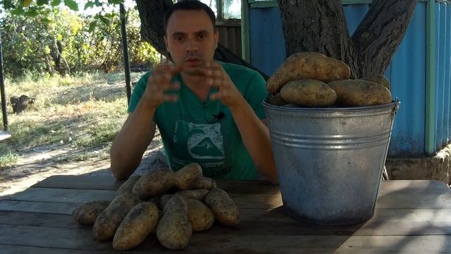 КАК ВЫРАСТИТЬ МНОГО КРУПНОГО КАРТОФЕЛЯ БЕЗ ПРОПОЛКИ И ОКУЧИВАНИЯ смотреть онлайн