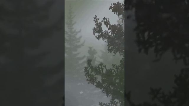 снежный буран. Смотреть со звуком смотреть онлайн