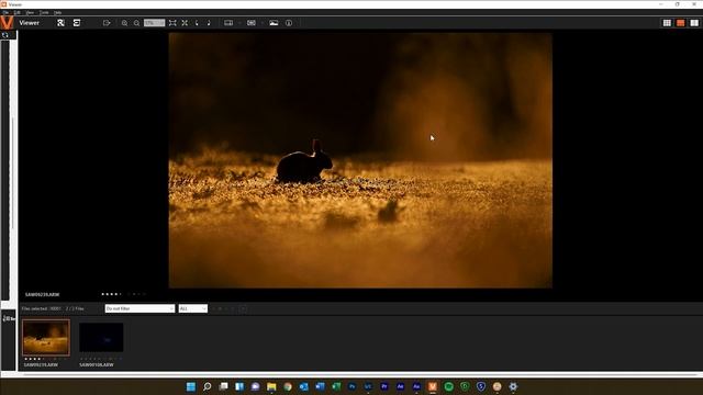 The secrets of my photo editing in Lightroom - how I edit wildlife photos смотреть онлайн