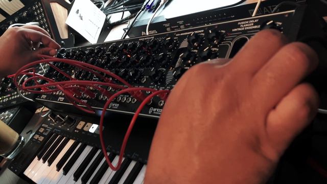 Erica Synths - Fusion System II - Enter The Noise