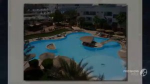 в каком отели египта самая активная анимация