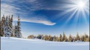 Белой акации гроздья душистые...