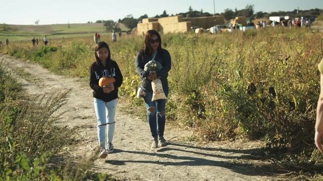 Santa Rosa Pumpkin Patch 2022 V1 смотреть онлайн