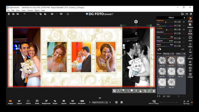 Dg Foto Smart: Effects Window_Adjust: Applying Grey Scale to images on canvas смотреть онлайн