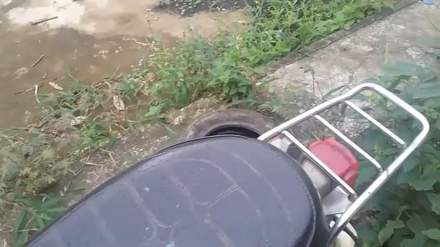 something just like this!-honda chaly смотреть онлайн