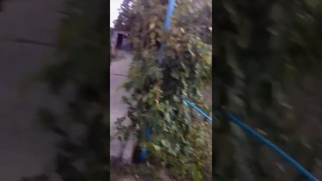 Метровый черьв жесть сматреть всем смотреть онлайн