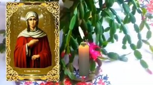 СИЛЬНАЯ МОЛИТВА МАТЕРИ ЗА ДЕТЕЙ СВОИХ БЛАЖЕННОЙ КСЕНИИ ПЕТЕРБУРГСКОЙ