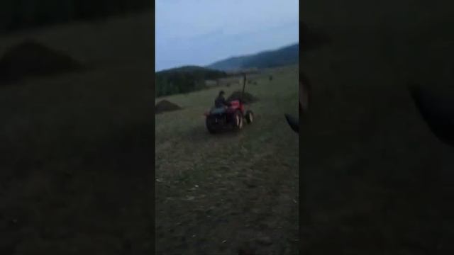 сенокос. гонки на мини тракторах смотреть онлайн