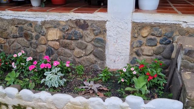 2 NOTICIAS TRISTES EN MI JARDÍN no me lo esperaba TAMBIEN 2 NOTICIAS BUENAS/Liliana Muñoz смотреть онлайн