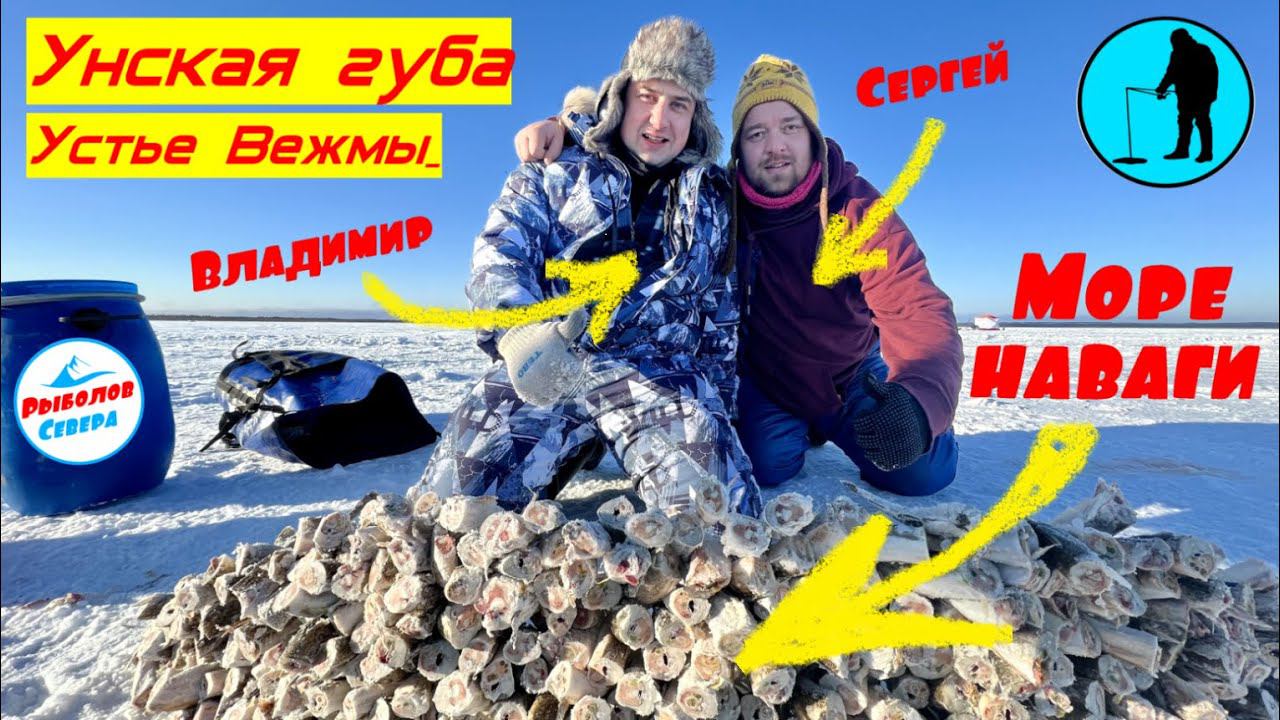 ✅РЫБАЛКА НА НАВАГУ l УНСКАЯ ГУБА l ВЕЖМА #рыболов_севера смотреть онлайн