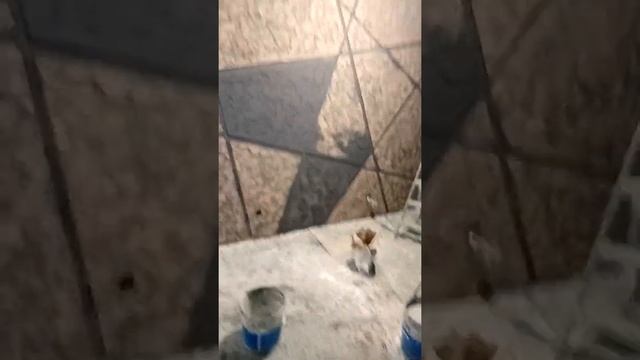 декоративная венецианская штукатурка панно лофт арт бетон геометрия покраска сухая кисть кемерово 2 смотреть онлайн