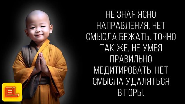 Мудрые Цитаты смотреть онлайн