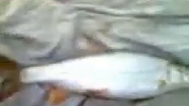 Загадочная рыба :-).3gp смотреть онлайн