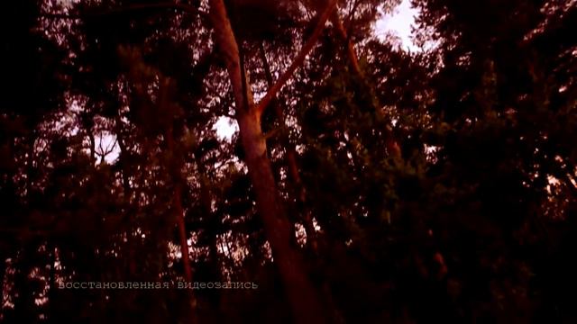 Вечеринка для Авроры смотреть онлайн