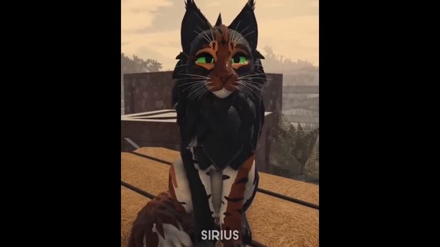 Wcue TikTok Compilation!!??